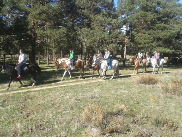 Campamento hipico